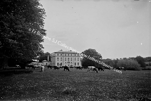 PRESENTATION CONVENT SOUTH FRONT WITH COWS